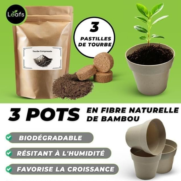 Pots naturels